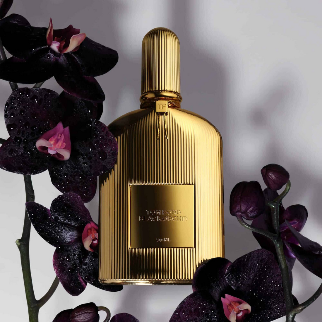 BLACK ORCHID (100ML)