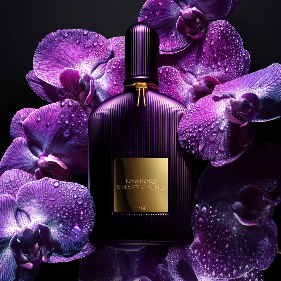 VELVET ORCHID (100ML)