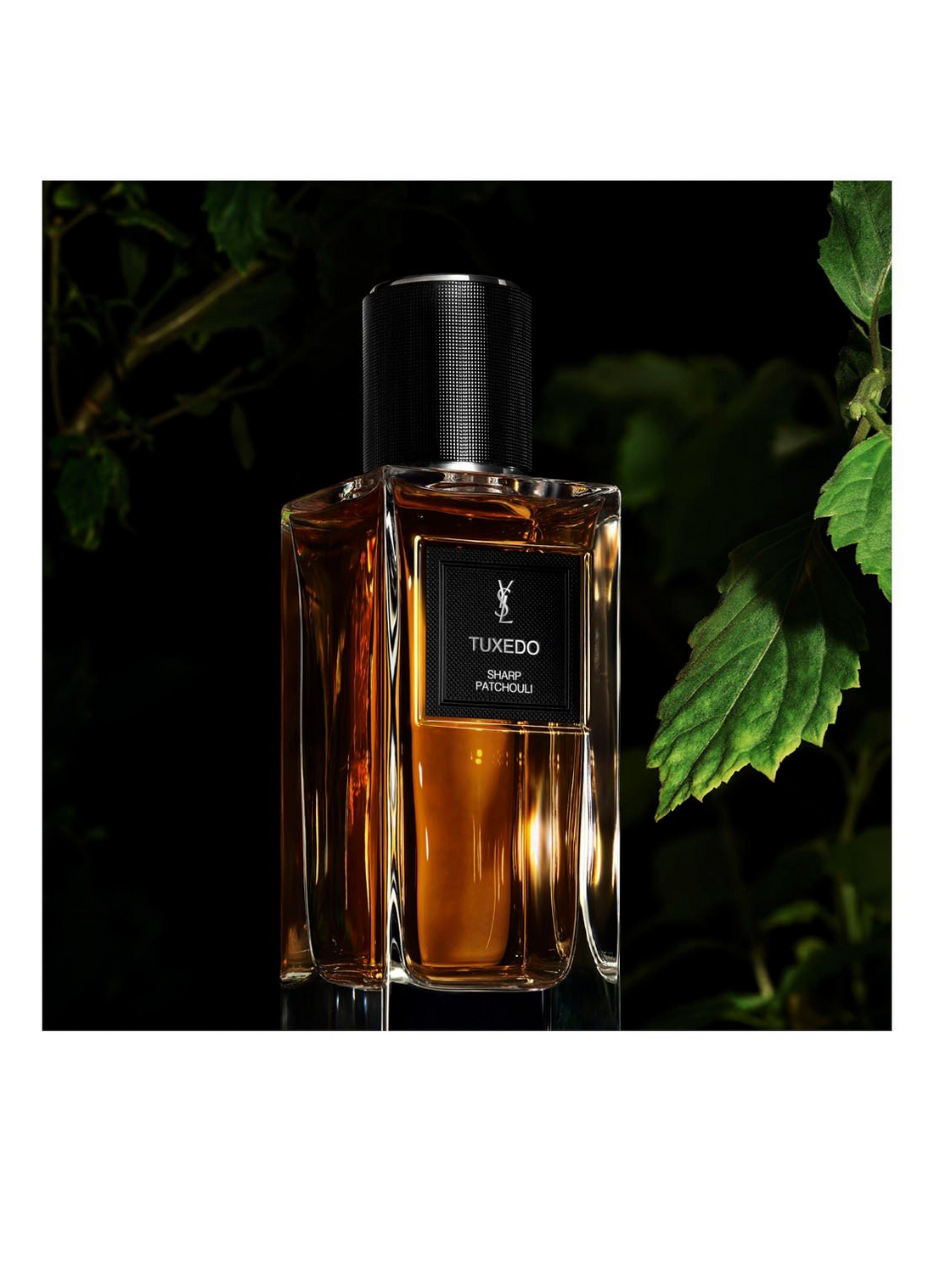 Tuxedo Eau de Parfum